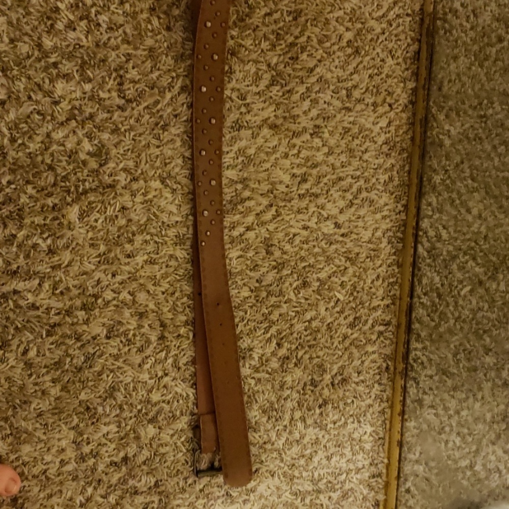 A gorgeous brown with jewel belt